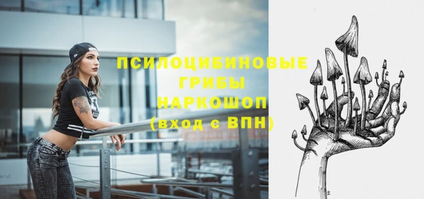 гидропоника Осинники